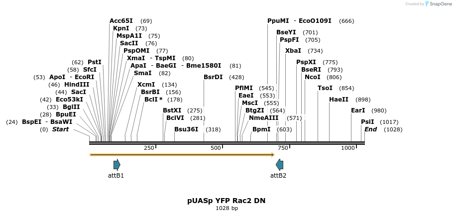 81601_map