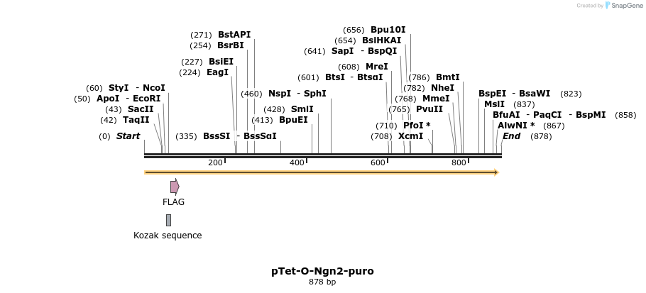 81614_map