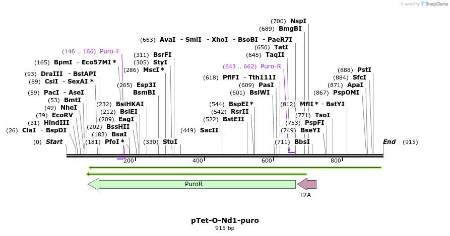 81617_map