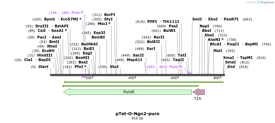 81620_map