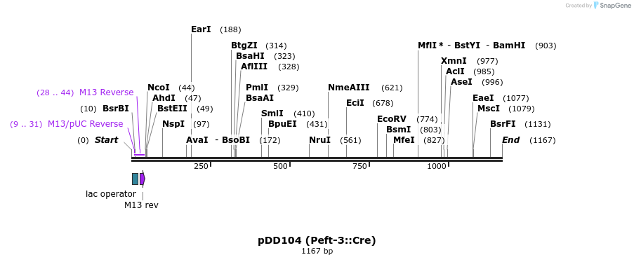 81625_map