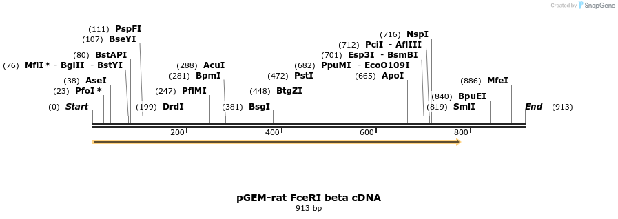 81628_map