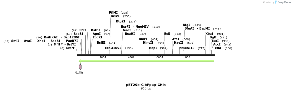 81631_map