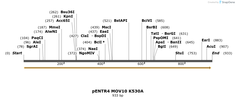 81634_map