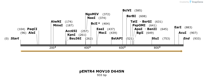 81635_map