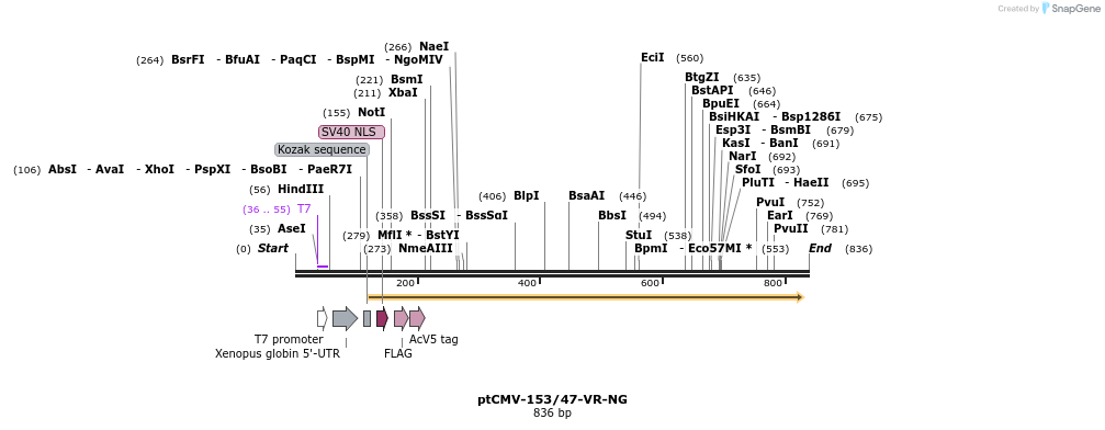 81636_map