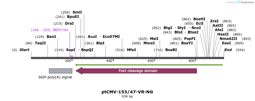 81637_map