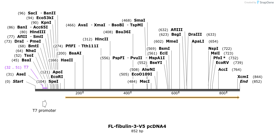81640_map
