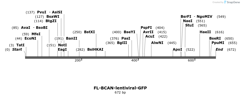 81642_map