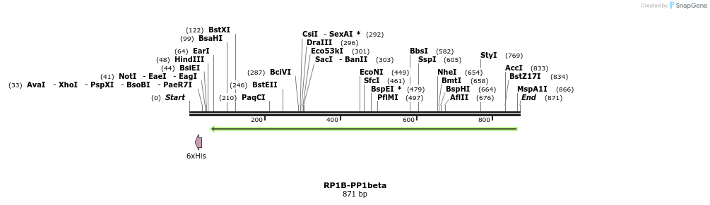 81643_map