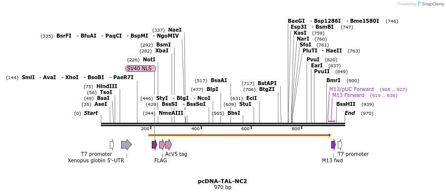81645_map