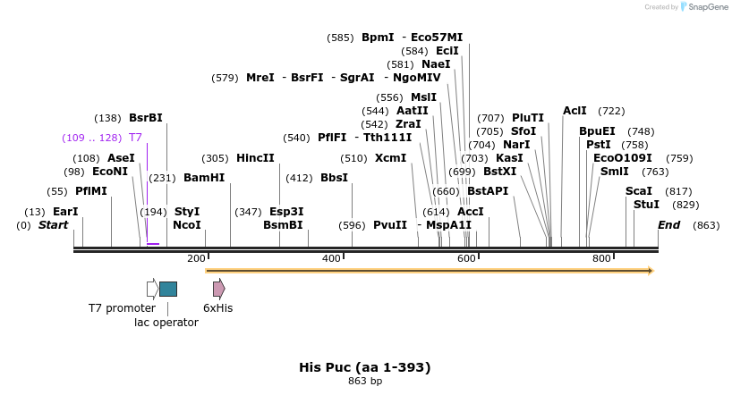 81648_map