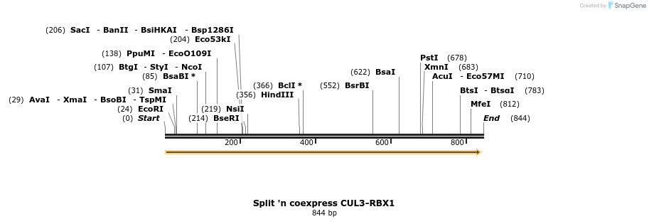81655_map