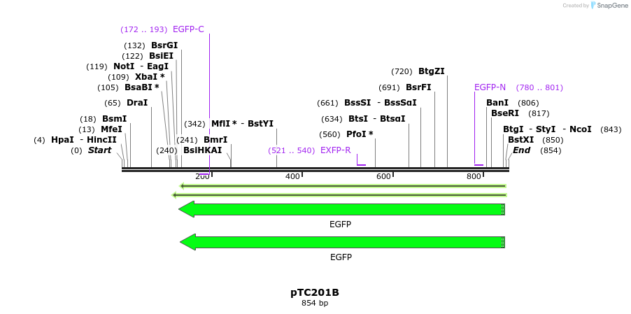 81656_map