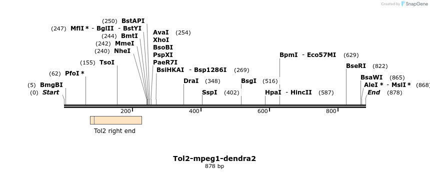 81658_map