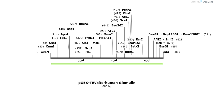 81659_map