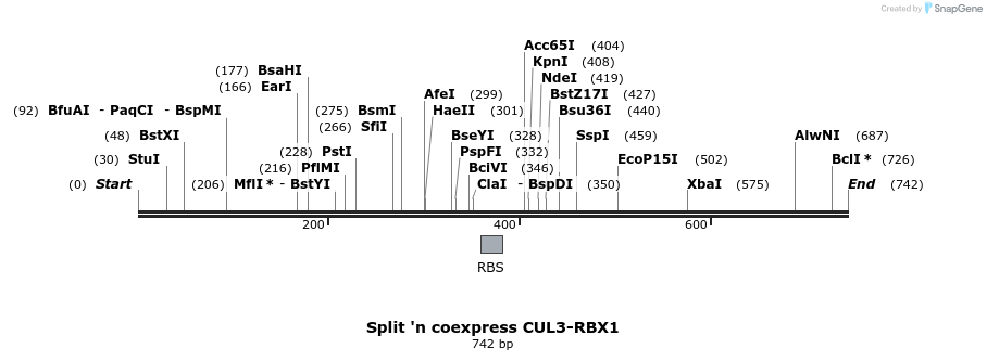 81673_map