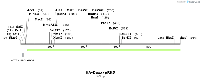 81676_map