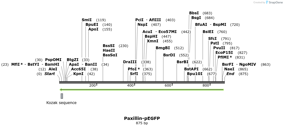 81680_map