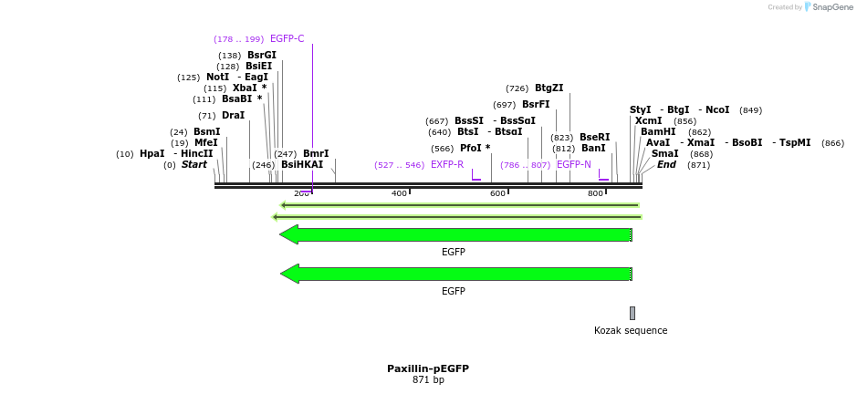 81683_map