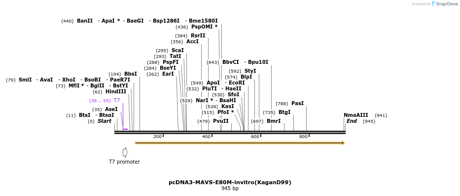 81689_map