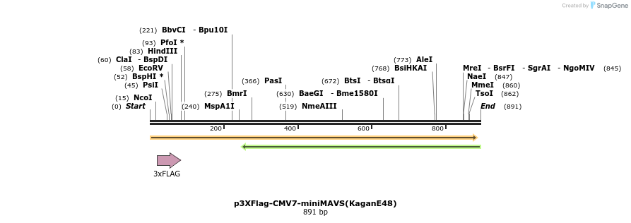81690_map