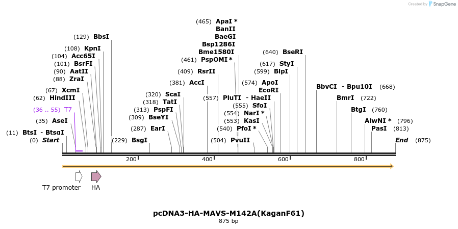 81691_map