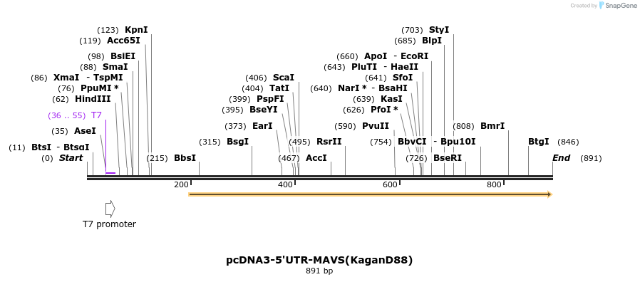 81695_map