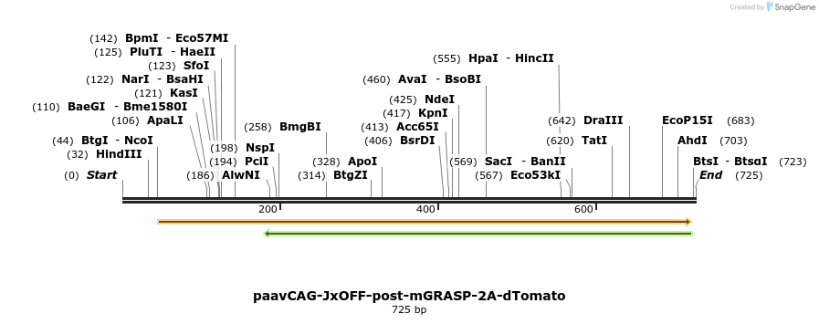 81698_map