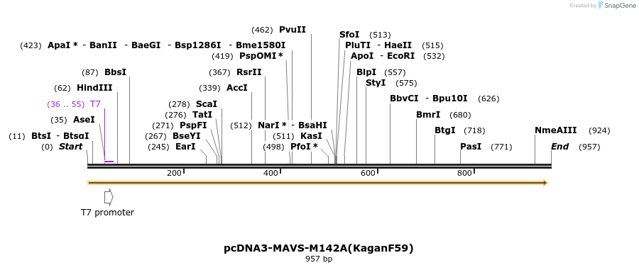 81699_map