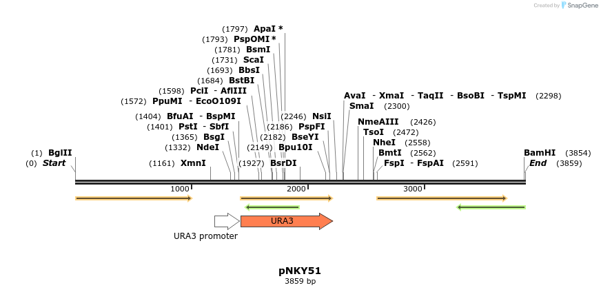 8170_map