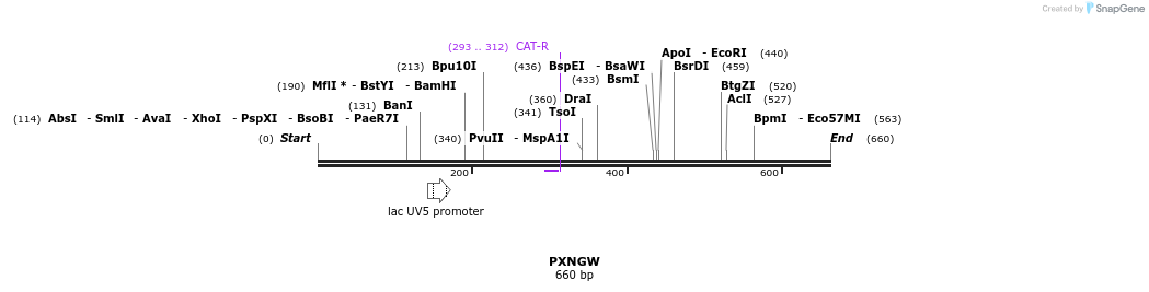 81700_map