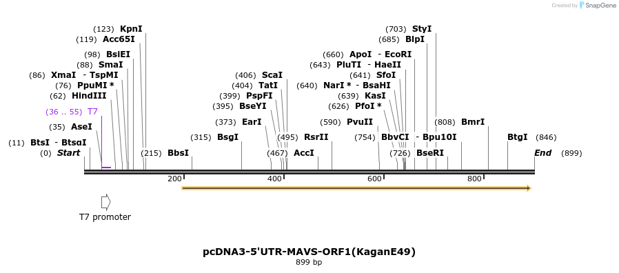 81703_map