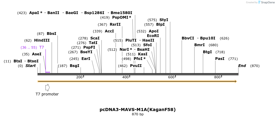 81705_map