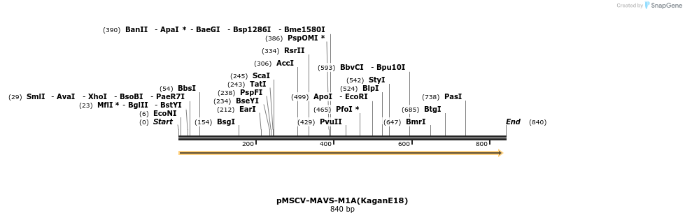 81708_map