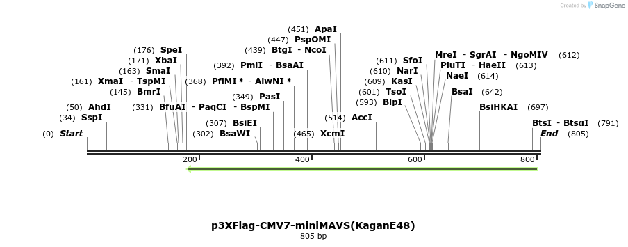 81746_map