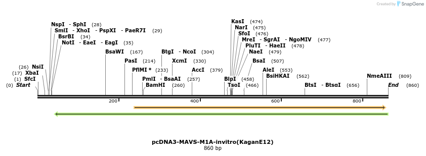 81750_map