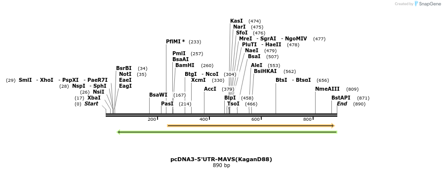 81751_map