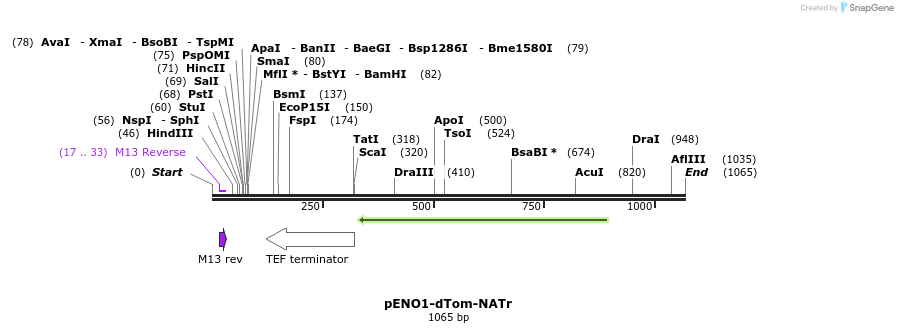 81755_map