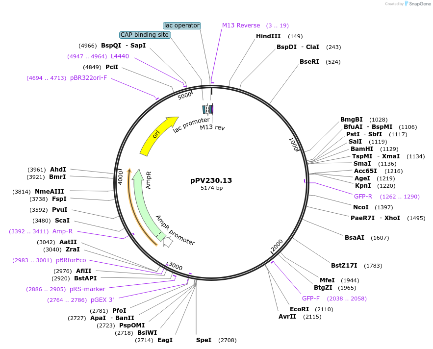 8176_map