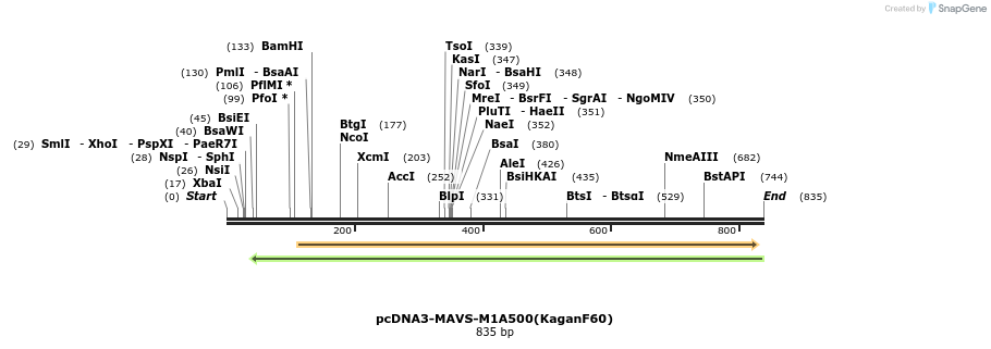 81762_map