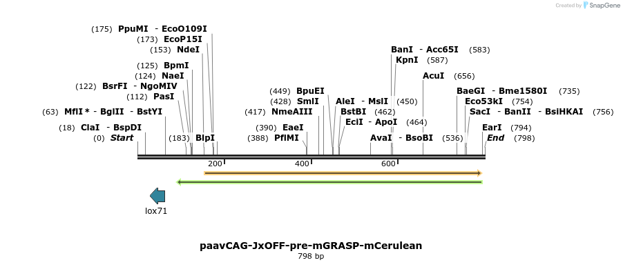 81766_map