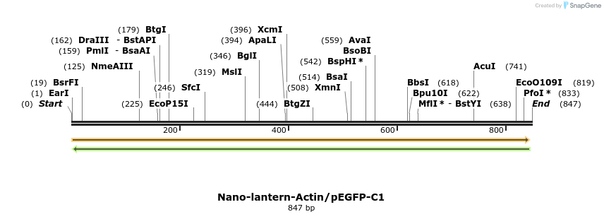 81769_map