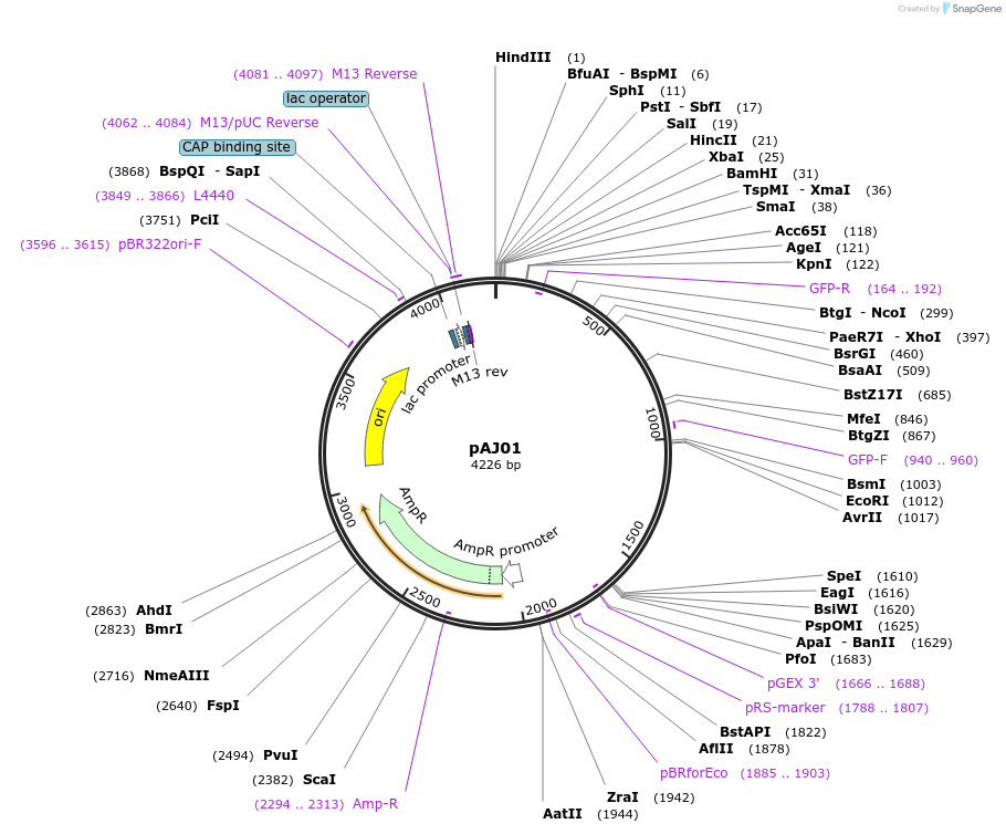 8177_map