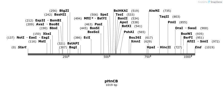 81770_map