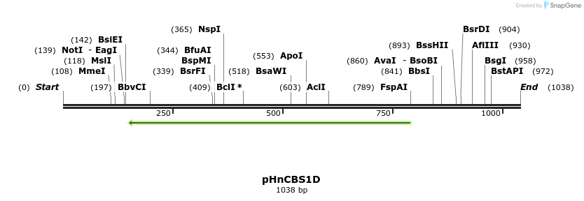 81772_map