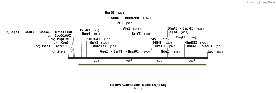 81783_map
