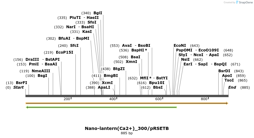 81788_map