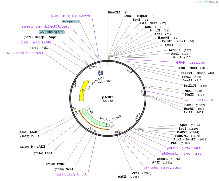8179_map