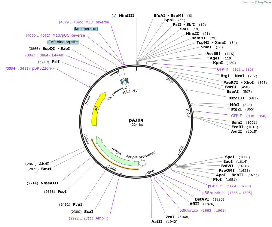 8180_map